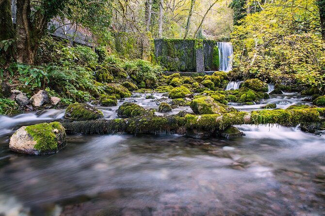 Full-Day Trip from Belgrade: Tara National Park & The Drina River Valley - Banjska Stena is the main event