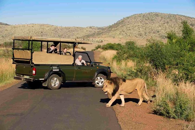 Full Day Ultimate Pilanesberg National Park Safari from Johannesburg or Pretoria - Who will enjoy this safari most?
