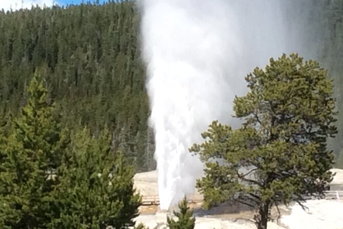 Full Day Yellowstone National Park Tour with lunch included - Waterfalls and Yellowstone’s big scenery