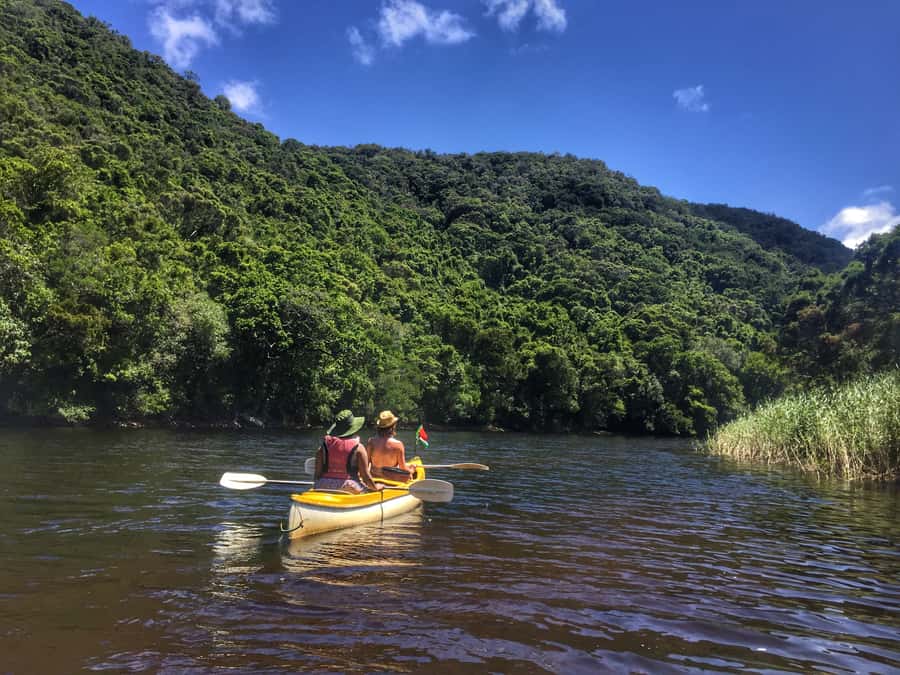 Garden Route and Addo Elephant National Park: 5-Day Safari - Day 1: Penguins, whales, and Africa’s southern tip