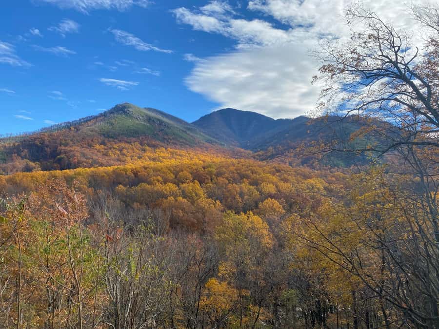 Gatlinburg: Great Smoky Mountains National Park Classic Tour - Key points at a glance