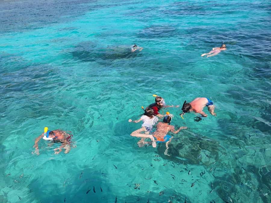 Glassbottom boat & Crystalkayak SteAnneMarinePark Snorkeling - The second snorkel before the ride home