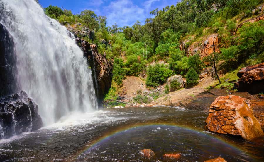 Grampians National Park Small-Group Eco Day Tour - Key points to know before you book