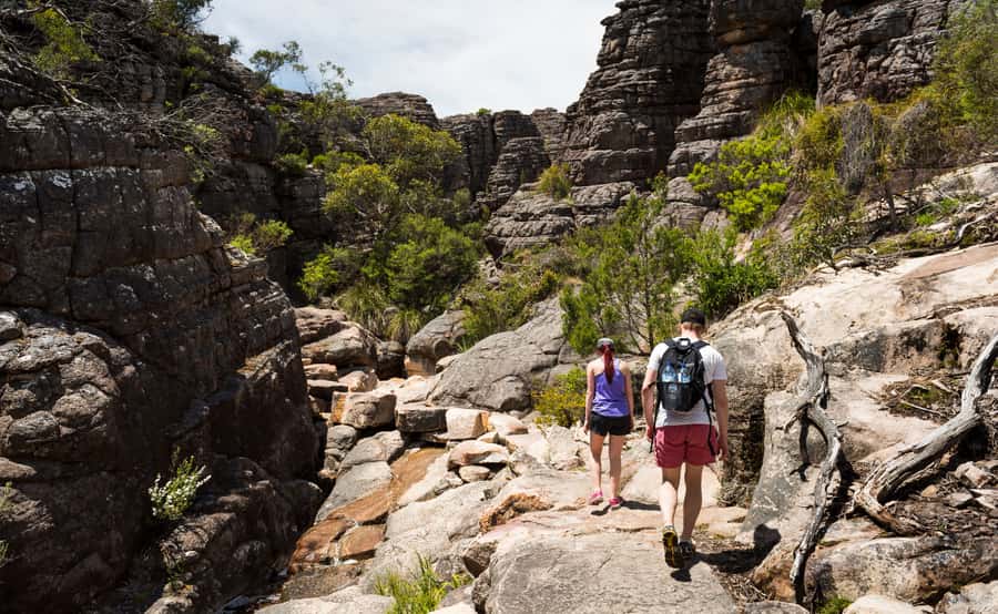 Grampians National Park Small-Group Eco Day Tour - Silverband Falls brings you into the park