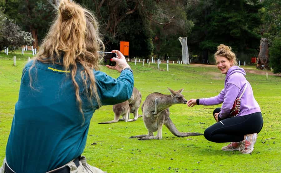 Grampians National Park Small-Group Eco Day Tour - MacKenzie Falls is the main event