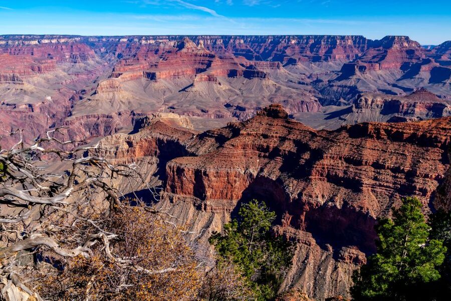 Grand Canyon Classic Sightseeing Tour Departing Flagstaff - Guides are the heart of the experience