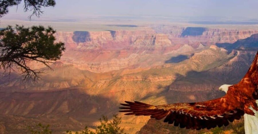 Grand Canyon West: 1-Day Entrance Ticket - Guano Point Is the Main View Stop