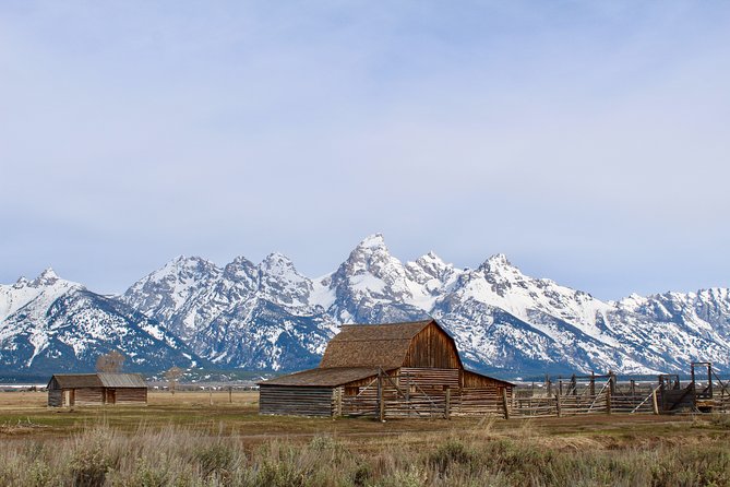 Grand Teton Half Day Tour - Key points before you book