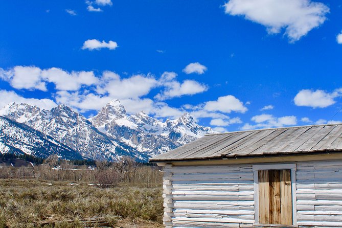 Grand Teton Half Day Tour - Oxbow Bend and the Snake River viewpoints
