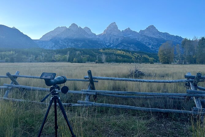 Grand Teton Half Day Tour - Jenny Lake, Moose Wilson Road, and Menor’s Ferry
