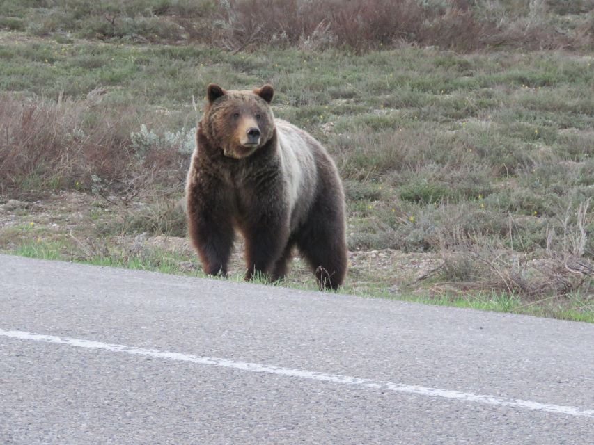 Grand Teton National Park: Full-Day Tour with Boat Ride - Elk Ranch Reservoir and Oxbow Bend