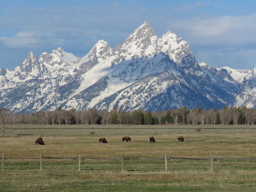 Grand Teton National Park: Full-Day Tour with Boat Ride - Who should book this Grand Teton day tour