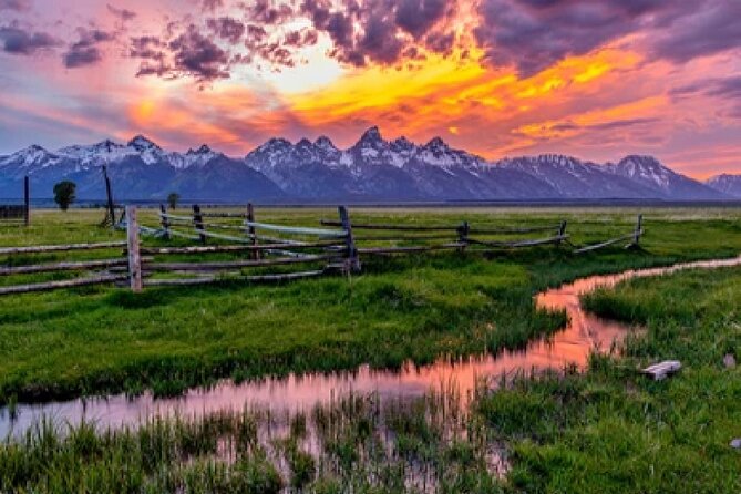 Grand Teton Wildlife Safari in a Enclosed or Open-Air Vehicle (season dependent) - What the four-hour safari is really like