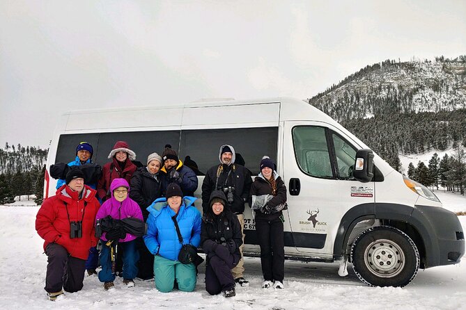 Grand Teton Wildlife Safari in a Enclosed or Open-Air Vehicle (season dependent) - Searching Grand Teton for moose, elk, and bears