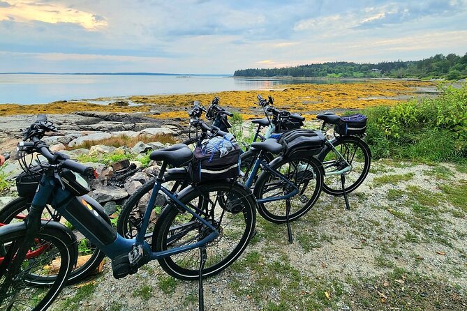 Guided Ebike Tour of Acadia National Park Carriage Roads - The Quiet Ride to Bubble Pond