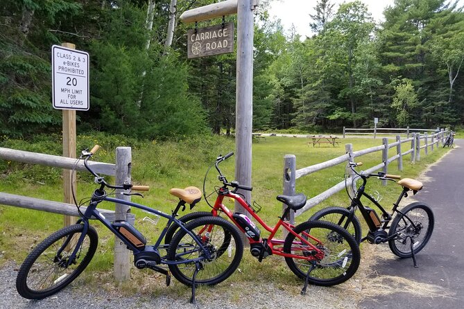 Guided Ebike Tour of Acadia National Park Carriage Roads - The Guides Shape the Experience