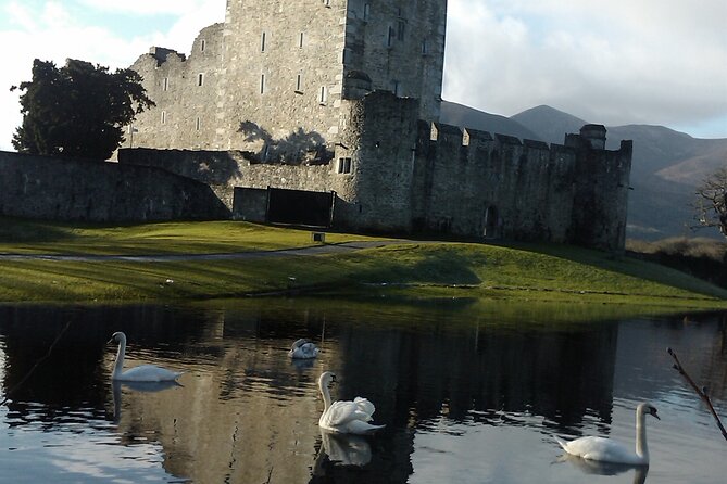 Guided Killarney National Park Walking Tour - Starting beside St. Mary’s Cathedral at 11am