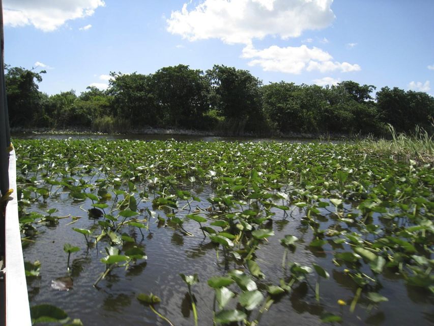 Half-Day Everglades Airboat Tours and Transportation - Is $75 a fair price?