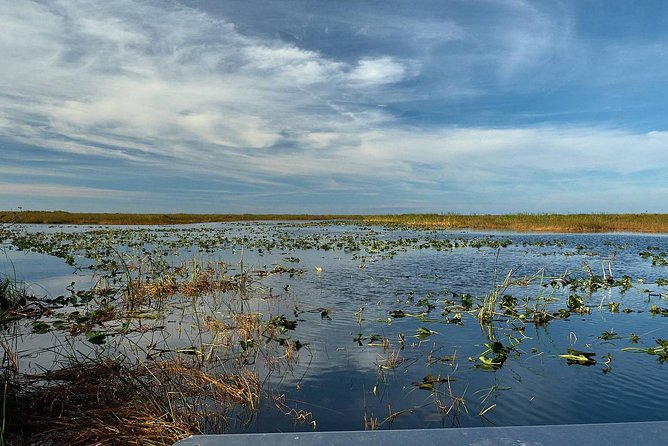 Half-day Everglades National Park Tour and 1-Hour Air Boat Ride - Guides, group size, and the quality of interpretation
