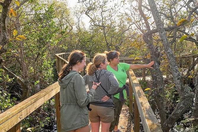Half-day Everglades National Park Tour and 1-Hour Air Boat Ride - Cancellation, weather, and scheduling