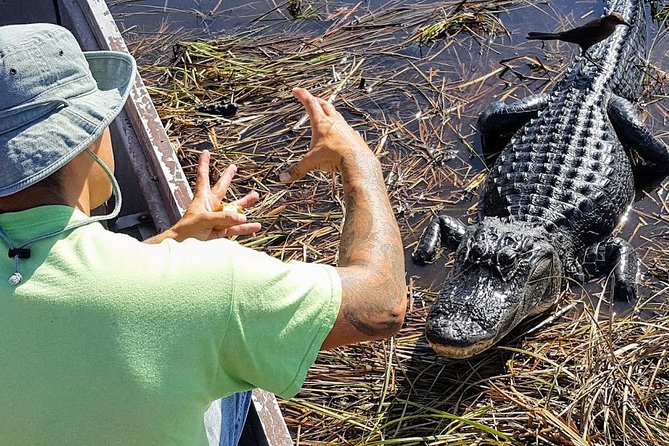 Half-day Everglades National Park Tour and 1-Hour Air Boat Ride - Walking through Everglades National Park