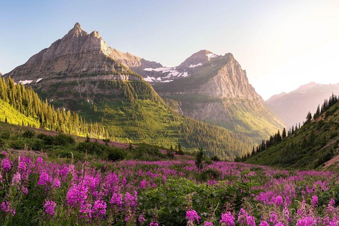 Half-Day Glacier National Park Whitewater Rafting Adventure - Key points to know before booking