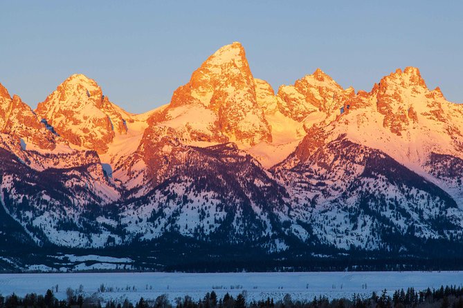 Half Day Grand Teton Wildlife Safari Tour - Antelope Flats: open country and long views