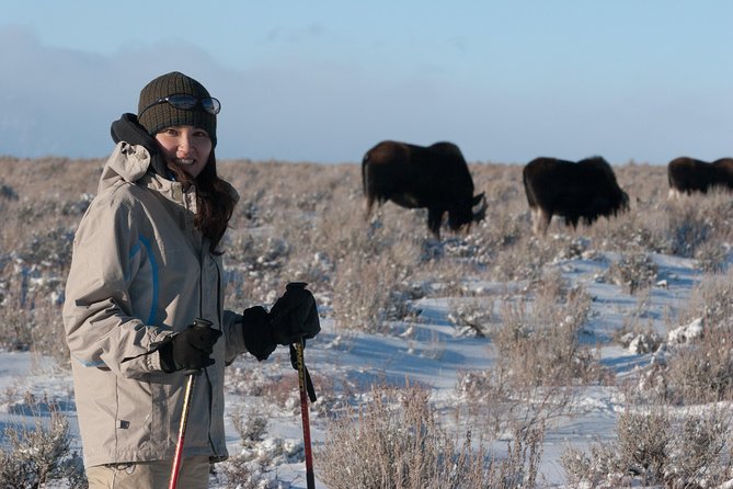 Half Day Grand Teton Wildlife Safari Tour - The $170 price and what you receive
