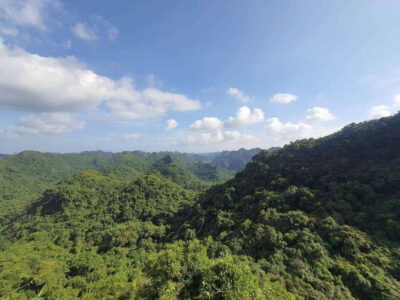 Half Day Hiking to Cat Ba National Park with a Guide