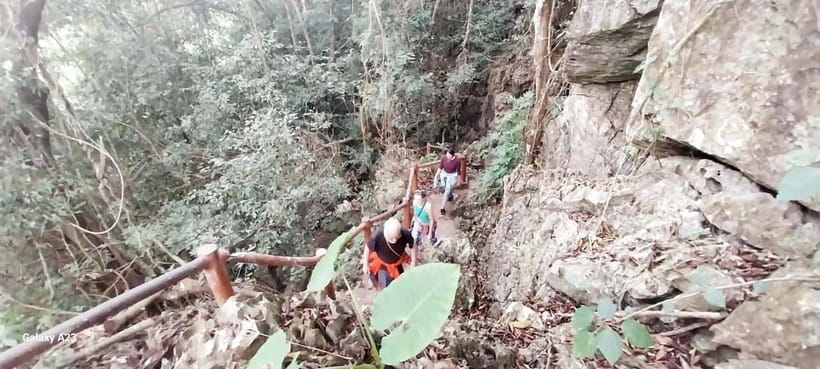 Half Day Hiking to Cat Ba National Park with a Guide - Transport, pace, and group size