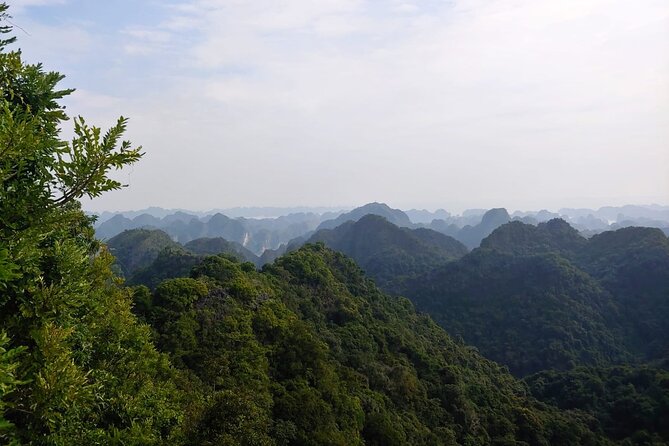 Half Day Hiking to Discover Cat Ba National Park with a Guide - Why this half-day route works