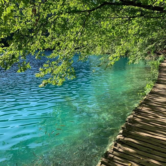 Half day tour around Plitvice Lakes - Why the Lower Lakes make sense for a half-day visit