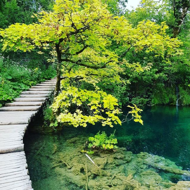 Half day tour around Plitvice Lakes - The panoramic train and Lower Lakes viewpoint