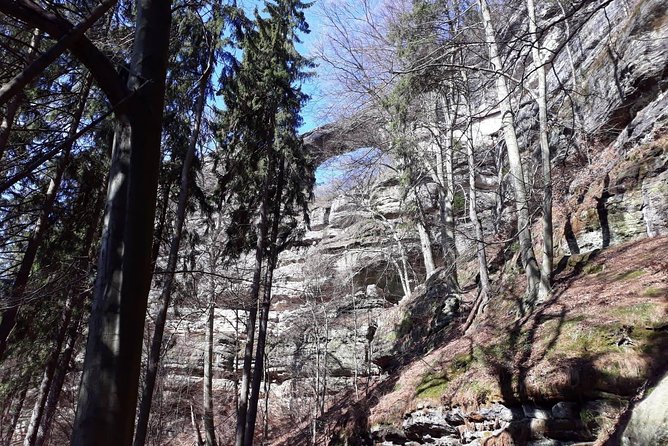 Hassle-free Bohemian & Saxon Switzerland Trip from Dresden - Who will enjoy this day most