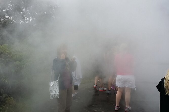 Hawaii Volcano National Park Shore Excursion - Why the guide matters on this particular tour