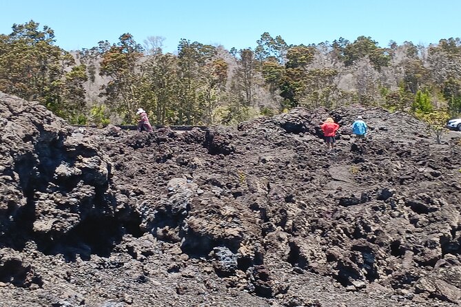 Hawaii Volcano National Park Shore Excursion - Timing, comfort, and what to bring