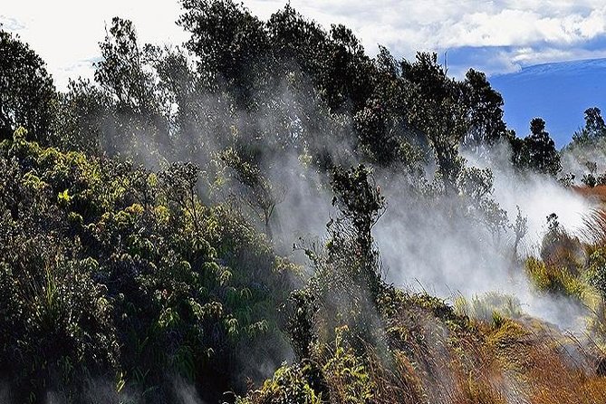 Hawaii Volcanoes National Park Experience from the Big Island - Punaluʻu Black Sand Beach and green sea turtles