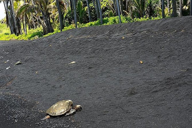 Hawaii Volcanoes National Park Experience from the Big Island - Greenwell Farms: a short introduction to Kona coffee
