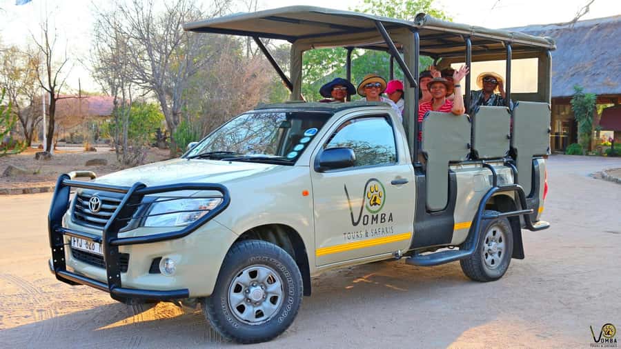 Hazyview: Private Full-Day Guided Kruger Safari - The first three-hour drive: animals, trees, and quiet watching