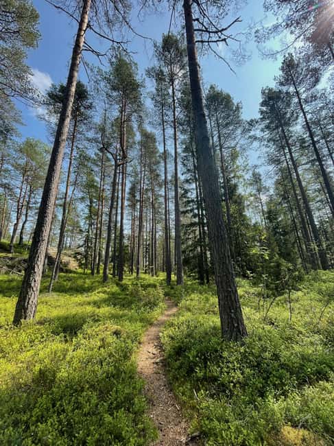 Helsinki: Nuuksio National park hiking with campfire lunch - Is $141 a fair price?