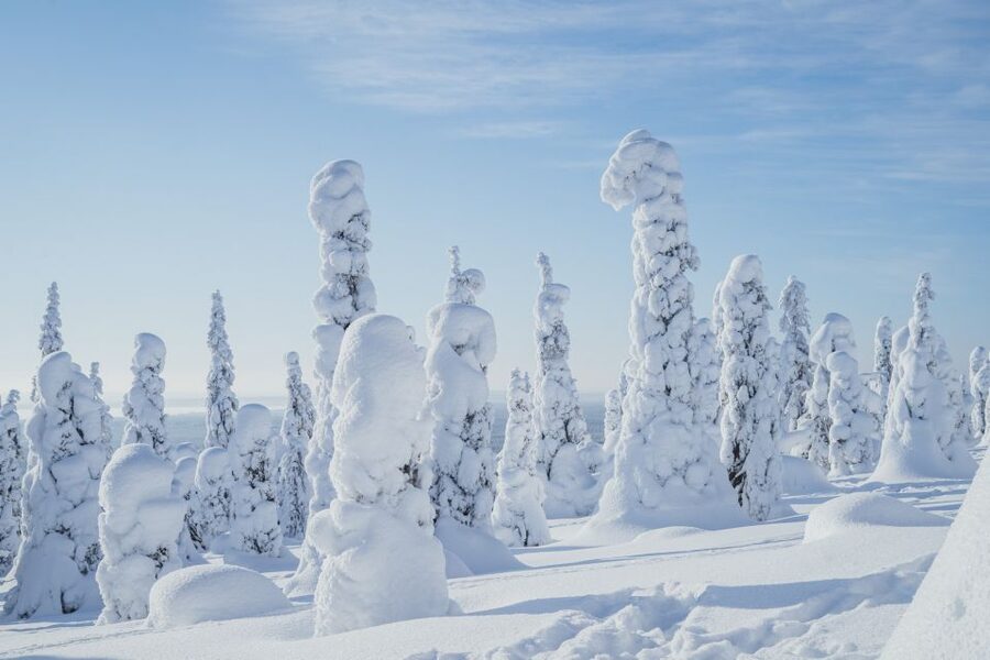 Hiking in Riisitunturi National Park with Photographer - Why Riisitunturi feels different from an ordinary forest walk