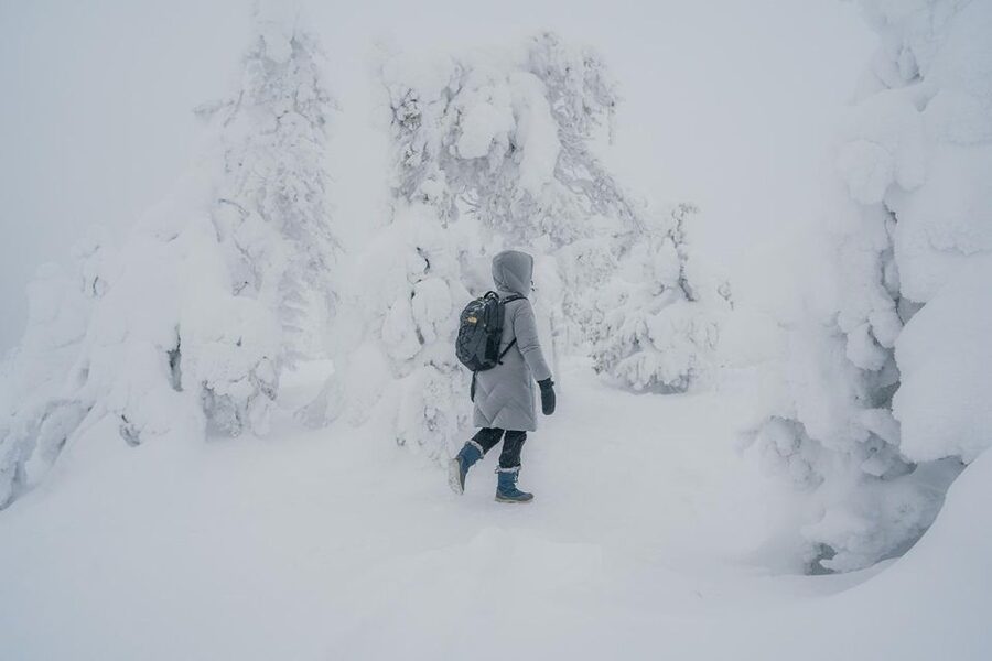 Hiking in Riisitunturi National Park with Photographer - The long road from Rovaniemi to the park