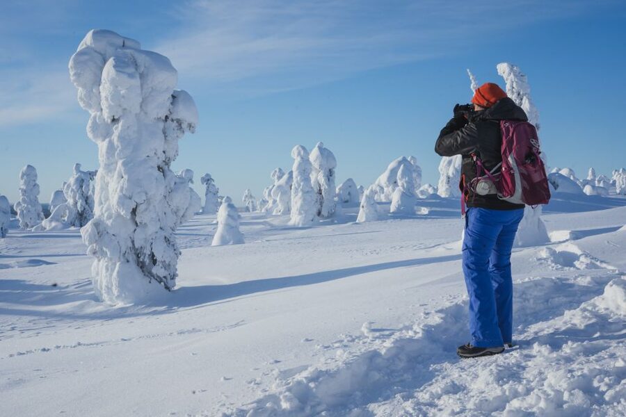 Hiking in Riisitunturi National Park with Photographer - Who should book this Riisitunturi hike