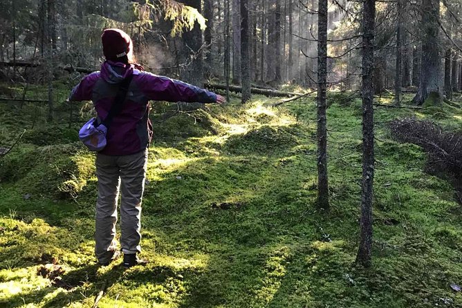 Hiking tour in Nuuksio National Park with meal and snacks - Key points to know before booking