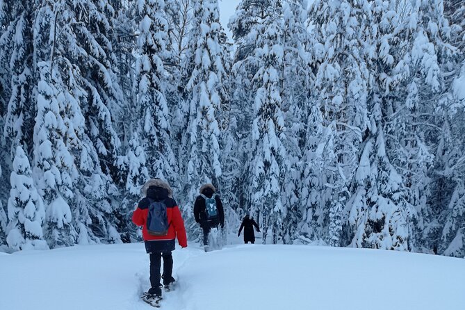 Hiking tour in Nuuksio National Park with meal and snacks - Why this Nuuksio hike is worth your morning