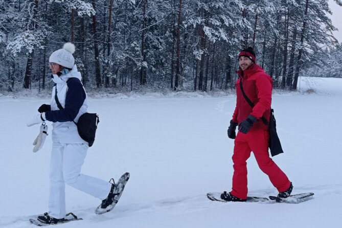 Hiking tour in Nuuksio National Park with meal and snacks - The forest is the real classroom