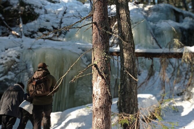 Hiking tour in Nuuksio National Park with meal and snacks - Lakes, overlooks, and quiet trails