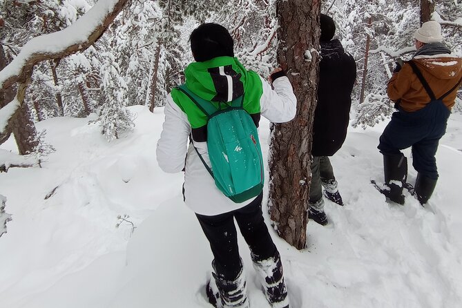Hiking tour in Nuuksio National Park with meal and snacks - Glögi, berry tea, and a Finnish forest snack