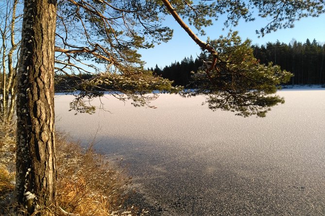 Hiking tour in Nuuksio National Park with meal and snacks - Is the $113.72 price good value?
