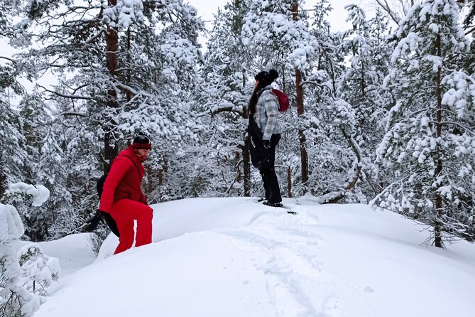 Hiking tour in Nuuksio National Park with meal and snacks - From central Helsinki to the forest